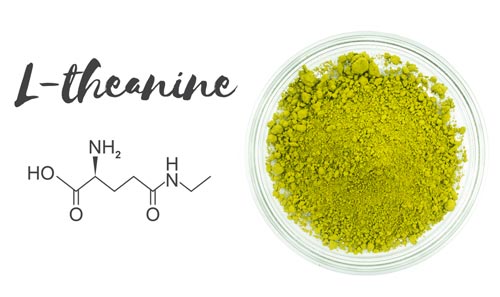 L-teanina: beneficios, riesgos y dosis